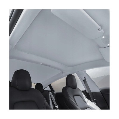 TEMAI PROTECTION SUNPROOF ON GLASS ROOF TESLA MODEL 3 - COLOR GRAY  