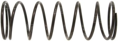 139721 пружина bosch oryg. cav фото №1