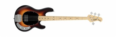 Sterling RAY 4 (VSBS) gitara basowa