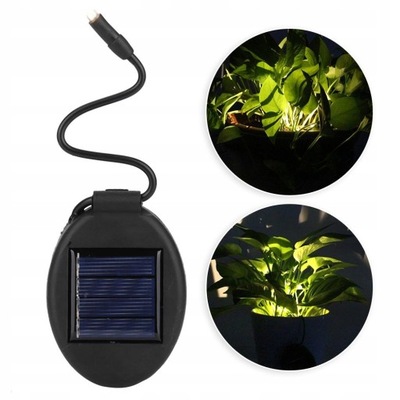 Lampka doniczka solar lampa solarna LED