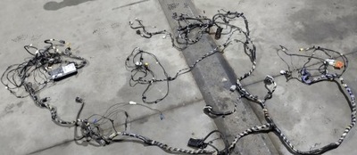 Жгут салона ford tourneo connect dt1t-14014 фото №1