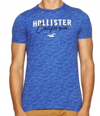Hollister California T-Shirt Laguna Logo Haft _L