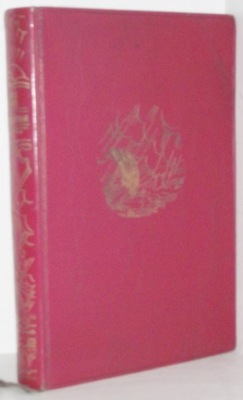 STURME Ein Liebesroman von HANS LAND BURZE powieść romantyczna 1929