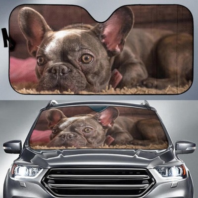 french bulldog car sun shade french bulldog winds 