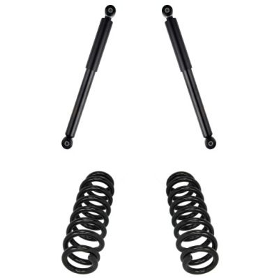 Амортизаторы + пружины задняя do suzuki grand vitara ii 2005- фото №1