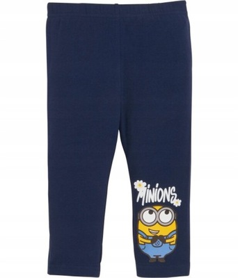 Minionki getry legginsy dziewczęce za kolana rozm 104 cm Minions