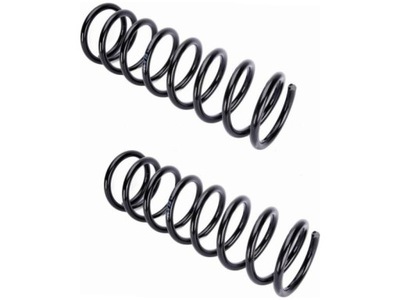 Пружины задняя kyb ra5305 фото №1