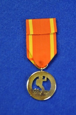 Medal za Warszawę 1939–1945