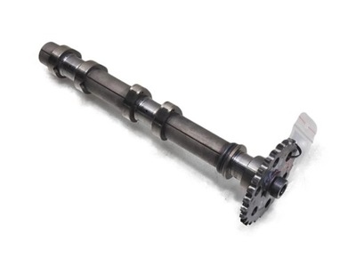 Вал розподільного валу випускний лівий forester iii 2.0 d фото №1