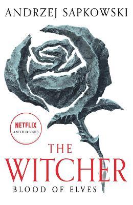 The Witcher. Blood of Elves. Book 1