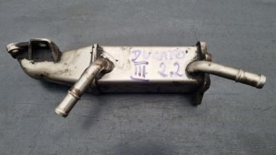 Boxer jumper 06-12 ducato iii 2.2 радіатор вихлопних газів фото №1