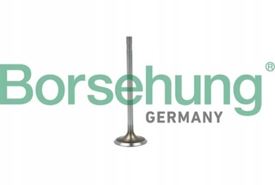 Borsehung b19015 клапан впускной фото №1