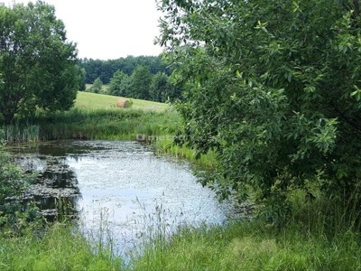 Działka, Mątki, Jonkowo (gm.), 9124 m²