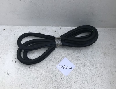 Skoda kodiaq прокладка дверь задняя правая кузовная фото №1