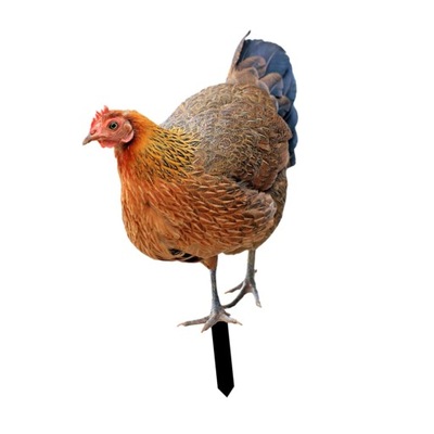 Ozdoby ogrodowe z kury Realistyczna rzeźba kurczak
