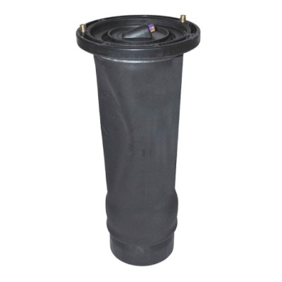 Подушка подвеска задняя задняя land rover discovery 2 ii dunlop rkb101200 фото №1