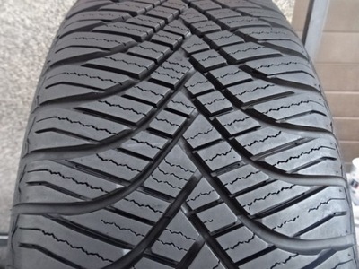 225/60/R17 99V GOODRIDE ALL SEASON ELITE Z-461