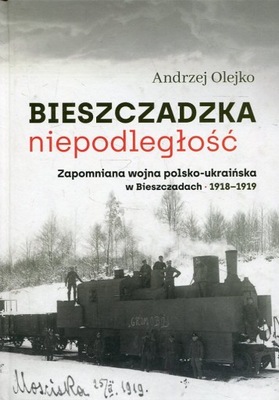 Bieszczadzka niepodległość, Andrzej Olejko