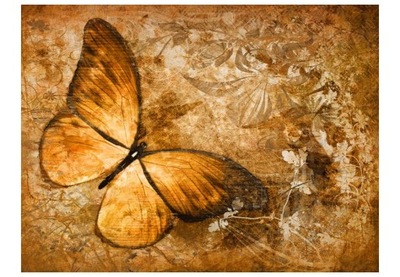 Fototapeta - motyl (sepia) - 350X270