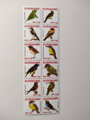 Surinam 2010r Fauna - Ptaki