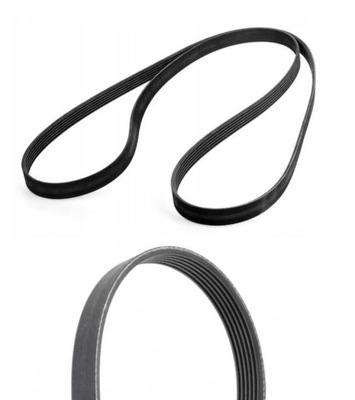 Ремень клиновой renault thalia i ii 1 2 1.6 16v 98- фото №1