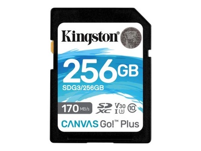 karta pamięci Kingston Canvas Go+ SD 256GB