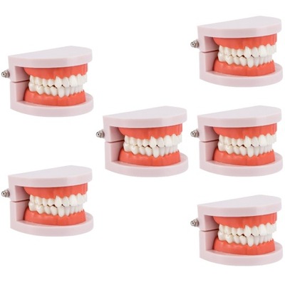 Modele zębów dentystycznych, które studenci uczą dzieci