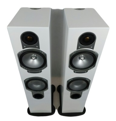 Monitor Audio Silver RS6 - kolumny głośnikowe