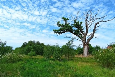 Działka, Grabno, Ustka (gm.), 690 m²