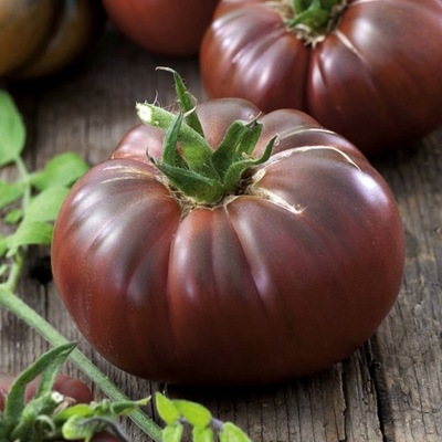 Pomidor Noire de Crimee - CZARNY KSIĄŻĘ Nasiona