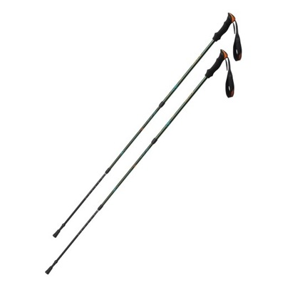 Kije trekkingowe TOALPS