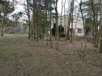 Działka, Orzeszyn, Piaseczno (gm.), 4426 m²