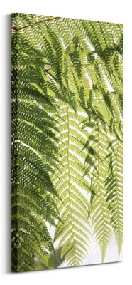 Obraz na płótnie Liście Paproci 50x100 cm