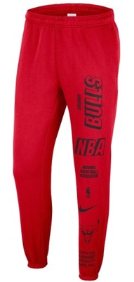 Spodnie Nike NBA Chicago Bulls DN9110657 L