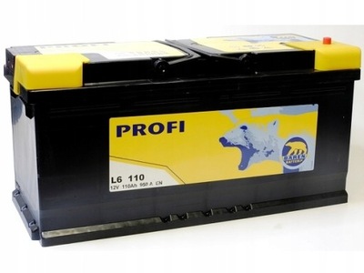 АККУМУЛЯТОР BAREN PROFI 110AH 950A