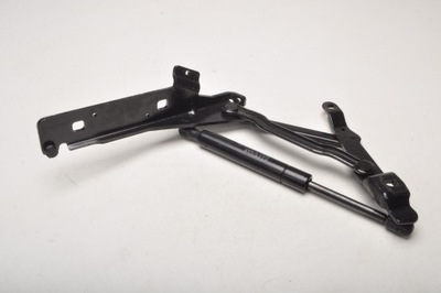 Ferrari california f149 петля кришки лівий 9221654 фото №1