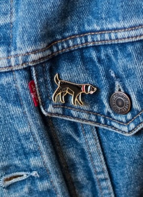 Pin PIES - cel charytatywny