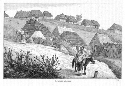 drzeworyt 1879 Grabowski: Galicja. Wieś na Podolu