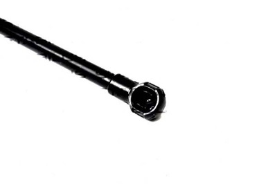 Stabilus привід амортизатор кришки lexus gs 450h gw фото №1