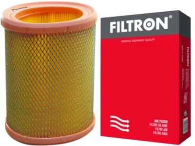 Filtron AE 311 Filtr powietrza
