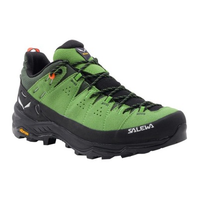 Buty trekkingowe męskie Salewa Alp Trainer 2 GTX zielone 43 (9 UK)