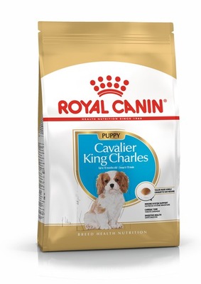 ROYAL CANIN BHN Cavalier King Charles Spaniel Puppy - sucha karma dla szcze