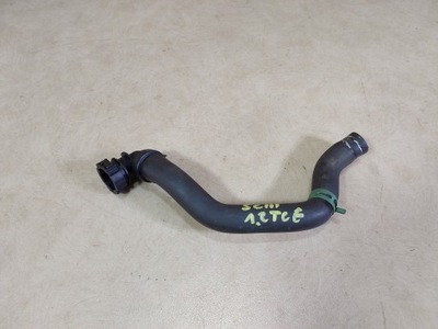 Scenic iii 1.2 tce wąż wody фото №1