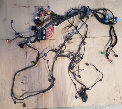 Електропроводка відсік двигуна 1.5 dci scenic iv 4 фото №1