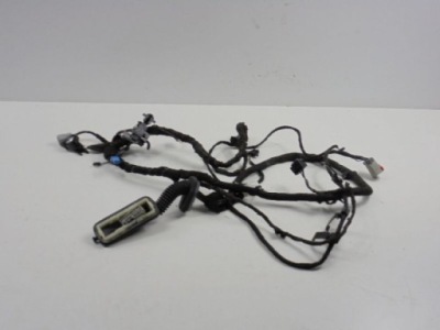 Range rover 3 l322 джгут двері перед ліва lift фото №1