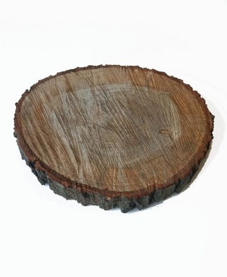 Plaster drewna, krążki drewniane dębowe 5-10 cm