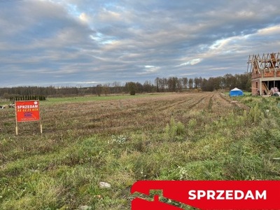 Działka, Jedlanka, Zwoleń (gm.), 9500 m²