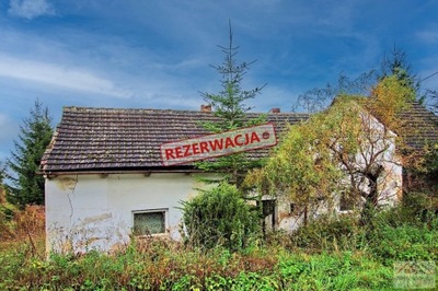 Dom, Oleszna Podgórska, 55 m²