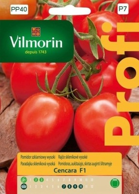 Pomidor Cencara 0.2 g VILMORIN
