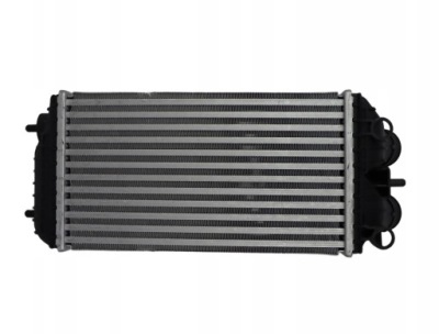 Радіатор повітря інтеркулер bmw 3 19- фото №1